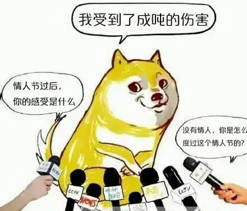 西奥多新闻