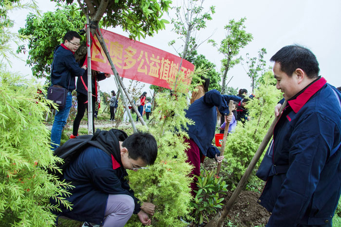 西奥多公益植树活动