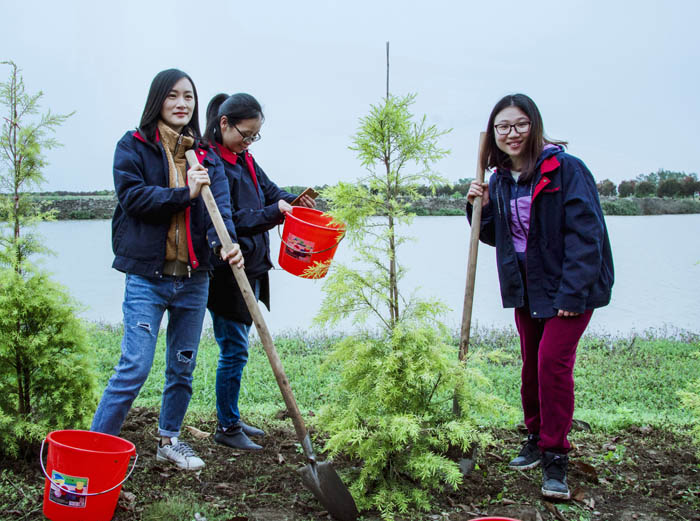 西奥多公益植树活动