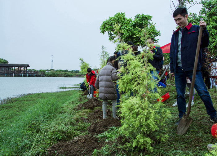 西奥多公益植树活动