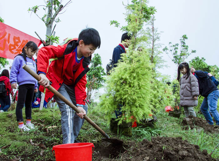 西奥多公益植树活动