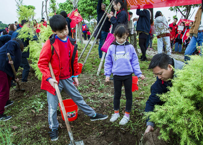 西奥多公益植树活动