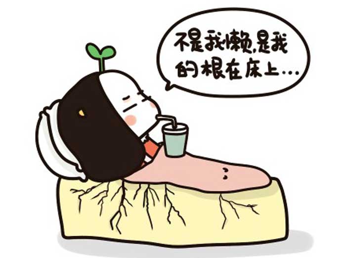 西奥多五一低价大促