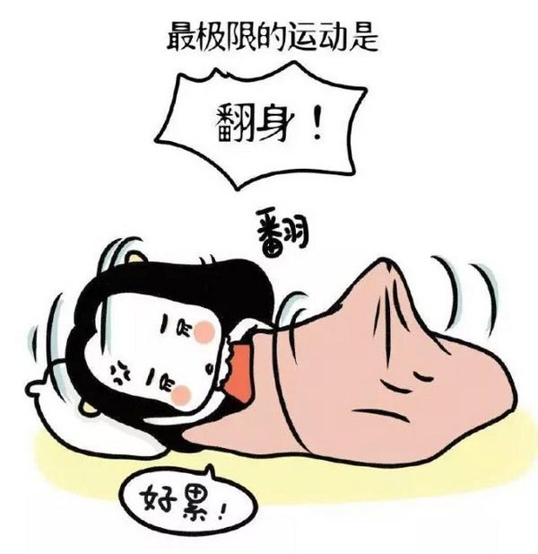 西奥多五一低价大促