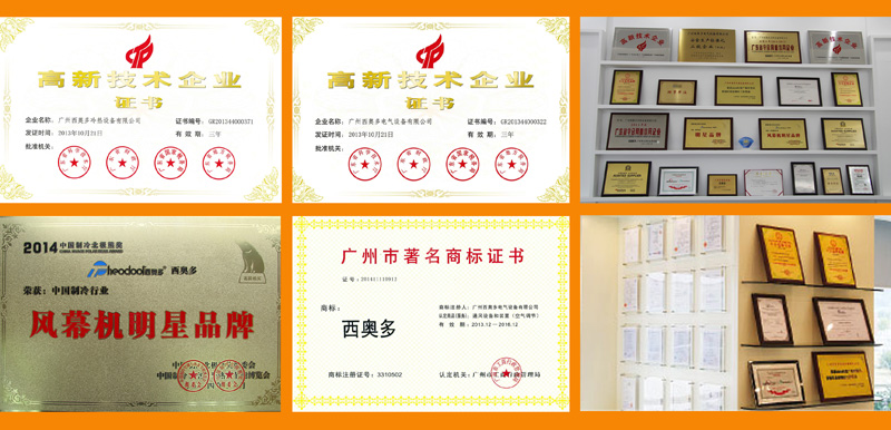 西奥多荣获众多荣誉奖项