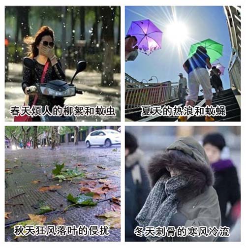 西奥多风幕机
