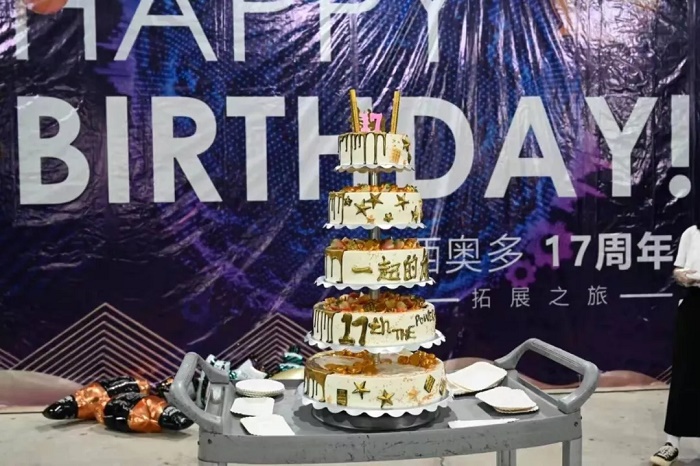 西奥多17周岁生日蛋糕
