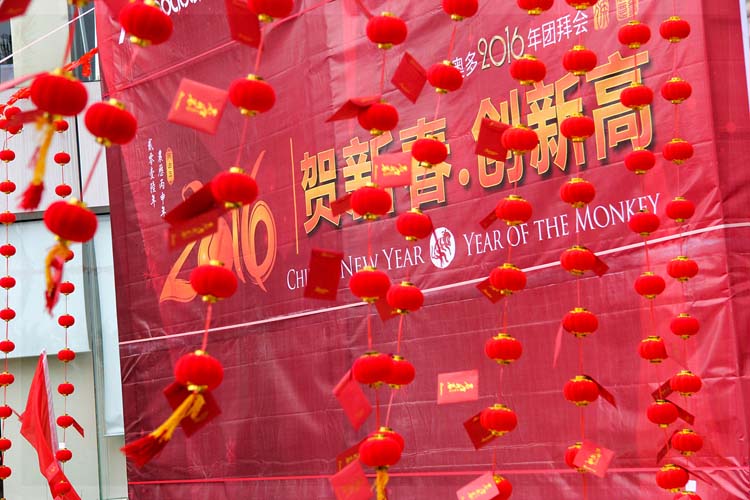 西奥多2016新春开年