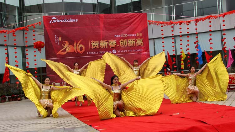 西奥多2016新春开年