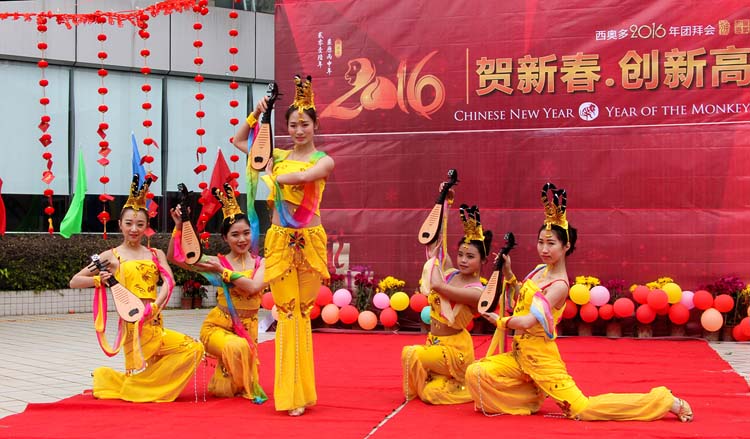 西奥多2016新春开年